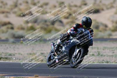 media/Apr-14-2024-SoCal Trackdays (Sun) [[70f97d3d4f]]/1-Turn 5 Tree of Life (920am)/